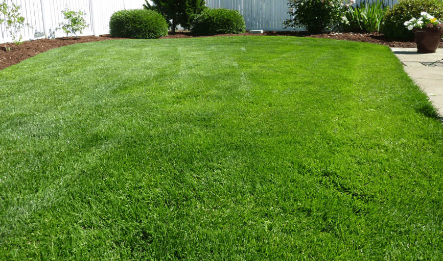 LAWN CARE SERVICES